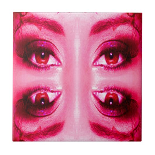 赤目 タイル (正面)