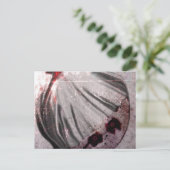 赤目 ポストカード (スタンド正面)