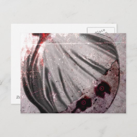 赤目 ポストカード (正面/裏面)