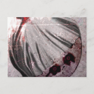 赤目 ポストカード