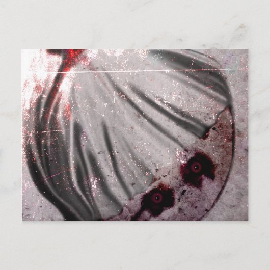 赤目 ポストカード (正面)