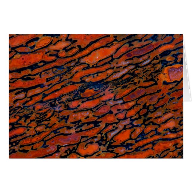 赤石化恐竜の骨 (正面横)