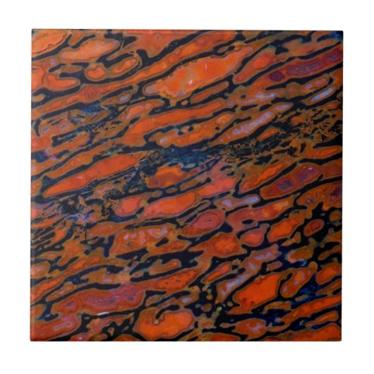 赤石化恐竜の骨 タイル (正面)