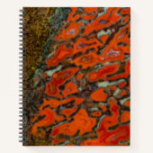 赤石化恐竜の骨 ノートブック (正面)