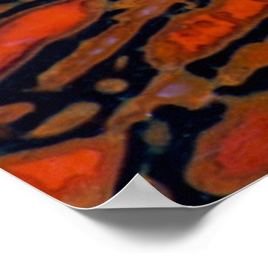 赤石化恐竜の骨 ポスター (角)