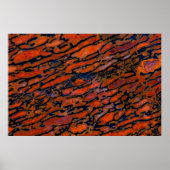 赤石化恐竜の骨 ポスター (正面)