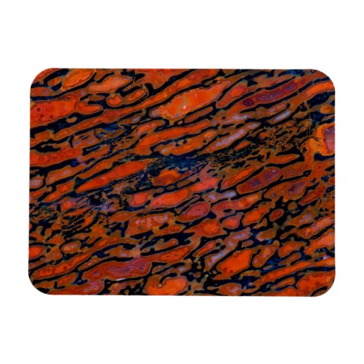 赤石化恐竜の骨 マグネット (横)