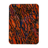 赤石化恐竜の骨 マグネット (縦)