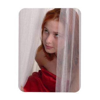 赤磁石 マグネット