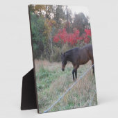 赤秋の木の茶色の馬 フォトプラーク (側面)