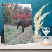 赤秋の木の茶色の馬 フォトプラーク (側面)