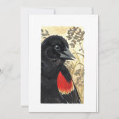  – 赤空白の翼の黒い鳥の水色 サンキューカード (正面)