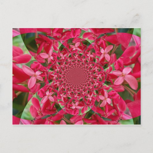 赤紅色はがき水平テンプレート ポストカード (正面)