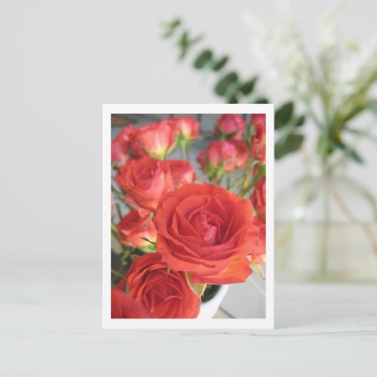 赤紅薔薇 ポストカード (スタンド正面)