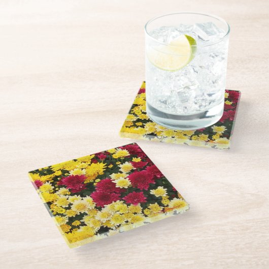 赤素晴らし金ゴールド秋菊の花 ガラスコースター (アングル)