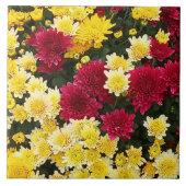 赤素晴らし金ゴールド秋菊の花 タイル (正面)