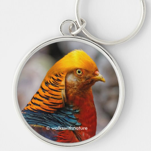 赤素晴らし金雉の狩猟鳥のクローズアップ キーホルダー (正面)