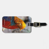 赤素晴らし金雉の輪郭 ラゲッジタグ (正面横)