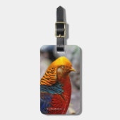 赤素晴らし金雉の輪郭 ラゲッジタグ (正面縦)