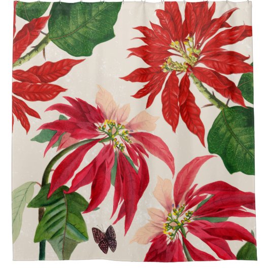 赤素朴水色ポインセチアフローラ緑 シャワーカーテン (正面)