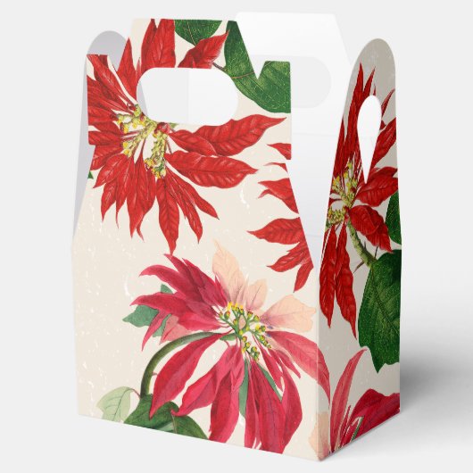 赤素朴水色ポインセチアフローラ緑 フェイバーボックス (オープン)