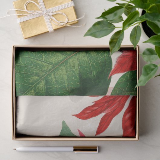 赤素朴水色ポインセチアフローラ緑 薄葉紙 (ギフト)