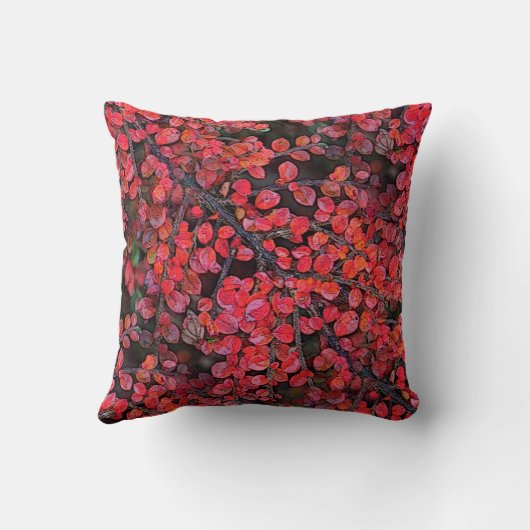 赤素朴葉 クッション (裏面)