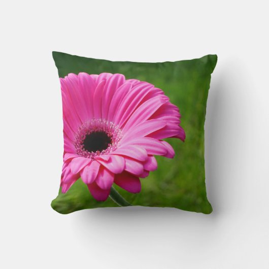 赤紫にガーベラのデイジーの咲くこと クッション (正面)
