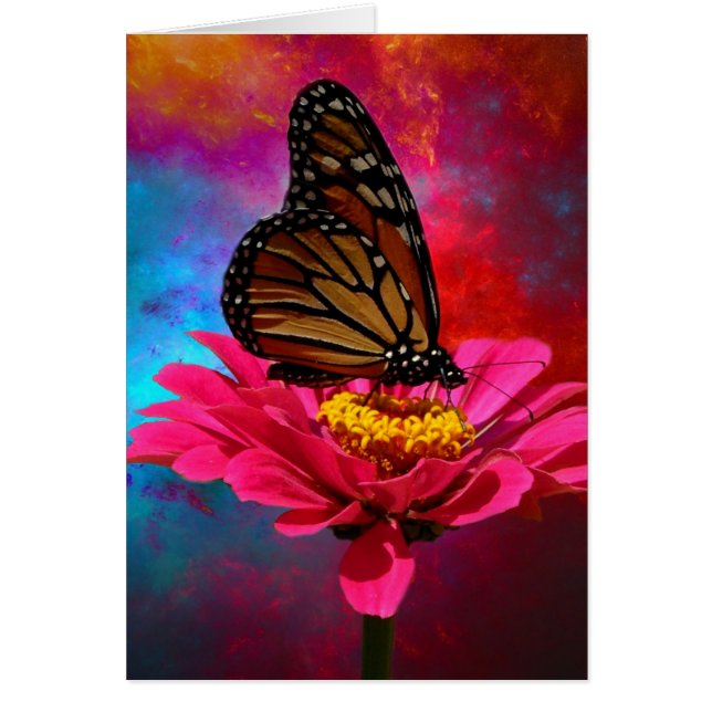 赤紫のデイジーのターコイズのティール（緑がかった色）のボヘミア人の蝶 (正面)