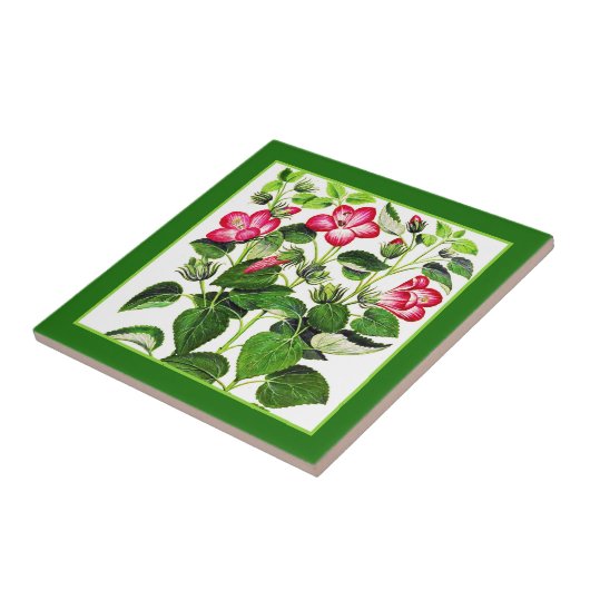 赤紫のピンクのイタリアンなハイビスカスの花 タイル (側面)