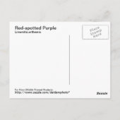 赤紫はがき ポストカード (裏面)