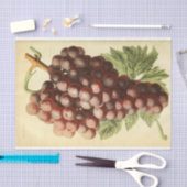 赤紫グレープワインエフエマデクページ 薄葉紙 (クラフト)