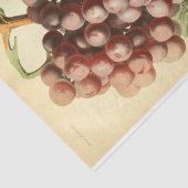 赤紫グレープワインエフエマデクページ 薄葉紙 (詳細)