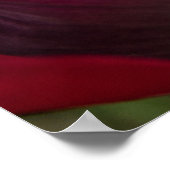 赤紫ポピーのポスター ポスター (角)