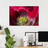 赤紫ポピーのポスター ポスター (ホームオフィス)