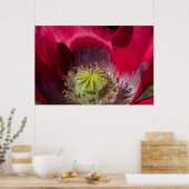 赤紫ポピーのポスター ポスター (キッチン)