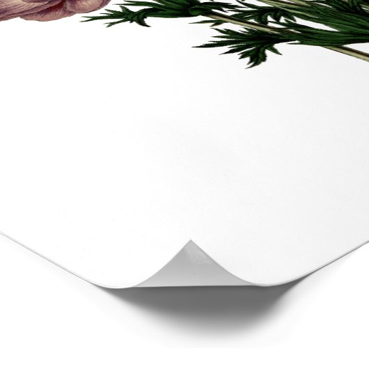 赤紫ヴィンテージムーディーズフローラ花 ポスター (角)