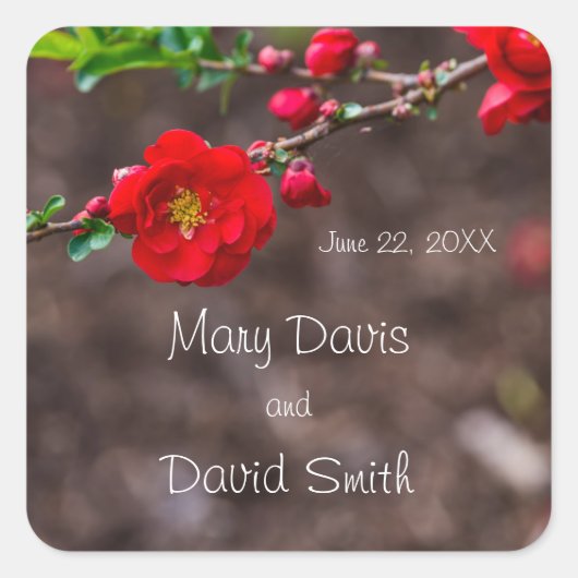 赤結婚緋色 スクエアシール (正面)