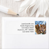 赤絵画狼 ラベル (インサイチュ)