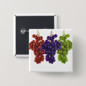 赤緑と紫のブドウ 缶バッジ (正面&裏面)