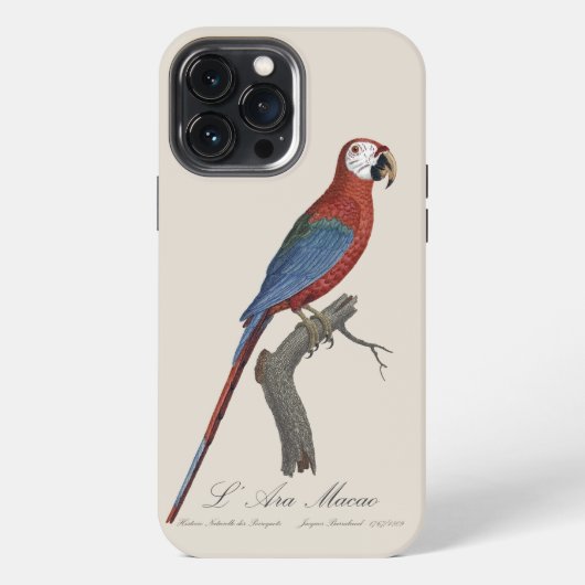 赤緑のコンゴウインコ、Ara chloropterus iPhoneケース (裏面)