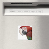 赤緑色のマカオ目 – 亜塩素翅目 マグネット (インサイチュ (食洗機))