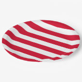 赤線7月4日 ペーパープレート (アングル)