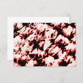 赤繊維プリント (正面/裏面)