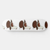 赤羽ハト スケートボード (横)