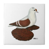 赤羽ハト タイル (正面)