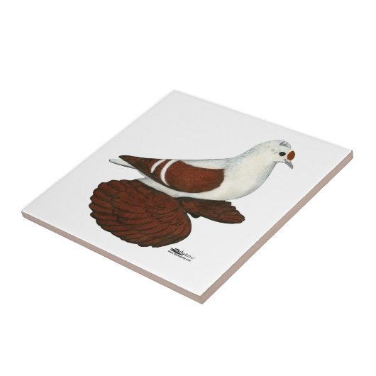 赤羽ハト タイル (側面)