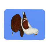 赤羽ハト マグネット (横)