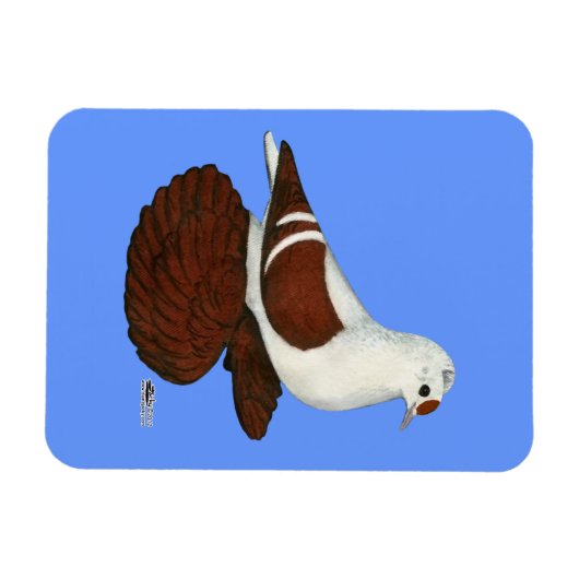 赤羽ハト マグネット (横)