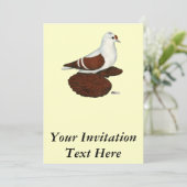 赤羽ハト 招待状 (スタンド正面)